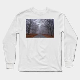 Road through forest, early winter Long Sleeve T-Shirt